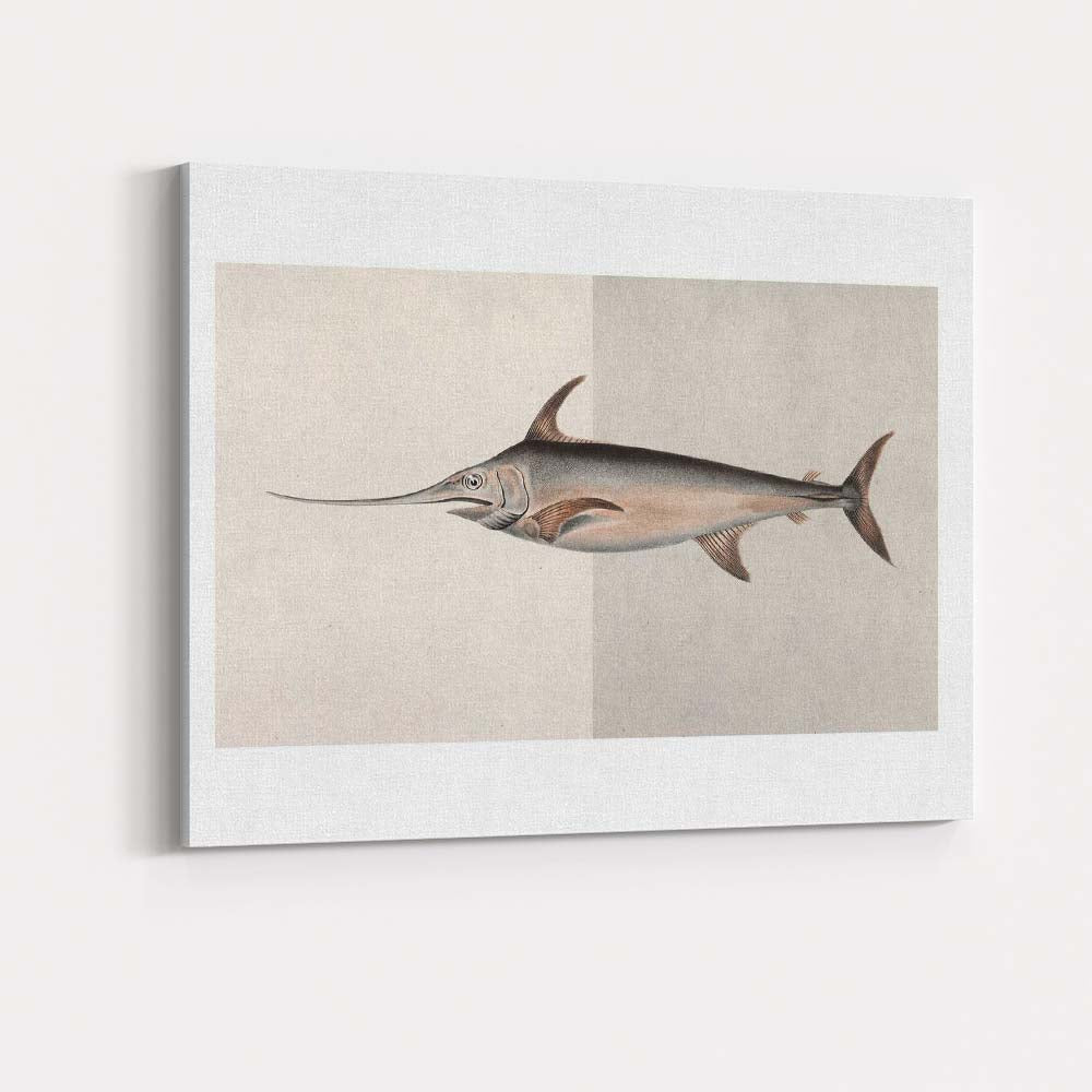 Antique Swordfish Marine Life Scientific Illustration Canvas Wall Art Print Decor Picture Ready to Hang