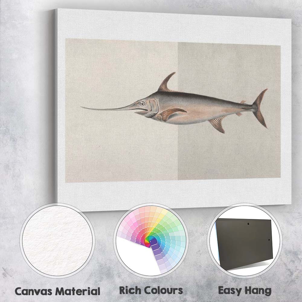 Antique Swordfish Marine Life Scientific Illustration Canvas Wall Art Print Decor Picture Ready to Hang