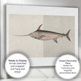 Antique Swordfish Marine Life Scientific Illustration Canvas Wall Art Print Decor Picture Ready to Hang