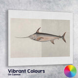 Antique Swordfish Marine Life Scientific Illustration Canvas Wall Art Print Decor Picture Ready to Hang