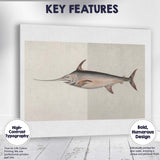 Antique Swordfish Marine Life Scientific Illustration Canvas Wall Art Print Decor Picture Ready to Hang
