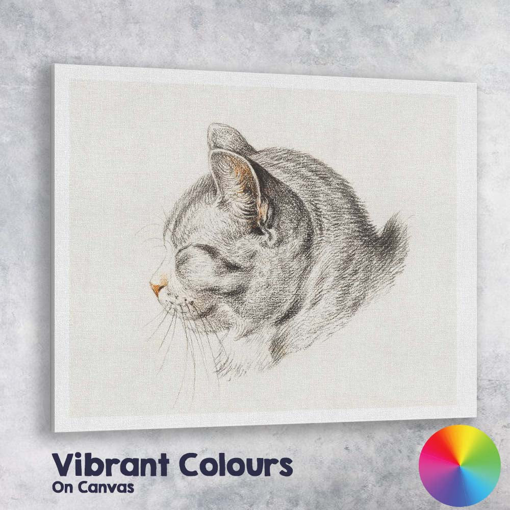 Sleeping Cat Pencil Sketch Minimalist Animal Portrait Canvas Wall Art Print Decor Picture Ready to Hang