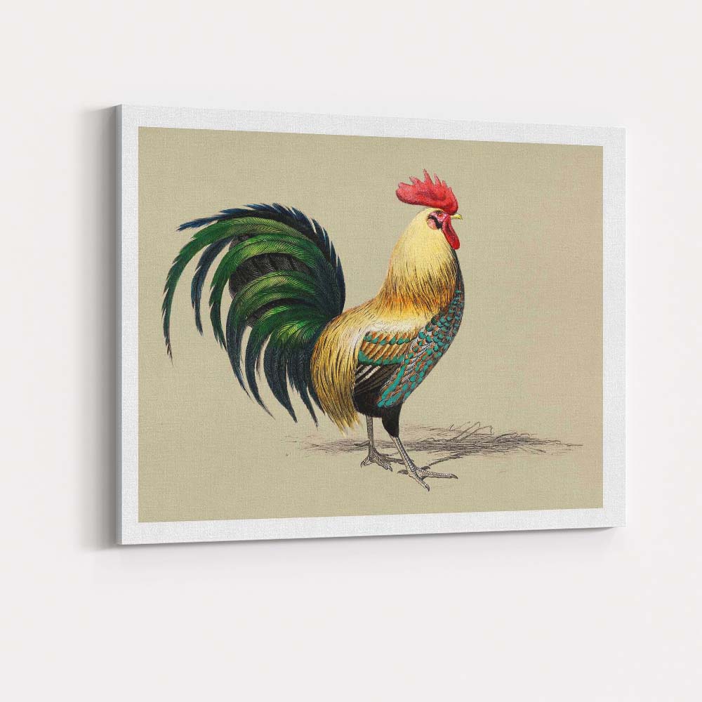 Colourful Rooster Farmhouse Bird Portrait Illustration Canvas Wall Art Print Decor Picture Ready to Hang