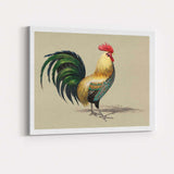 Colourful Rooster Farmhouse Bird Portrait Illustration Canvas Wall Art Print Decor Picture Ready to Hang
