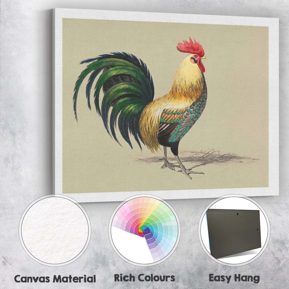 Colourful Rooster Farmhouse Bird Portrait Illustration Canvas Wall Art Print Decor Picture Ready to Hang