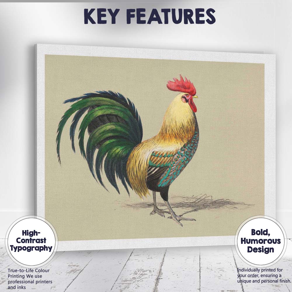 Colourful Rooster Farmhouse Bird Portrait Illustration Canvas Wall Art Print Decor Picture Ready to Hang