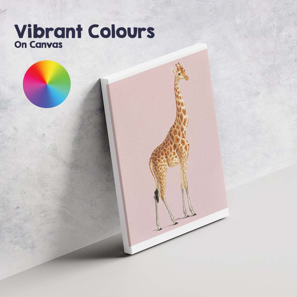 Elegant Giraffe Wildlife Portrait On Soft Blush Pink Background Canvas Wall Art Print Decor Picture Ready to Hang