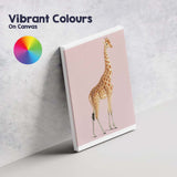 Elegant Giraffe Wildlife Portrait On Soft Blush Pink Background Canvas Wall Art Print Decor Picture Ready to Hang