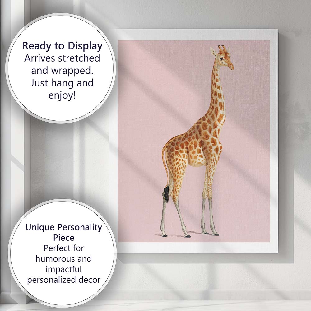 Elegant Giraffe Wildlife Portrait On Soft Blush Pink Background Canvas Wall Art Print Decor Picture Ready to Hang