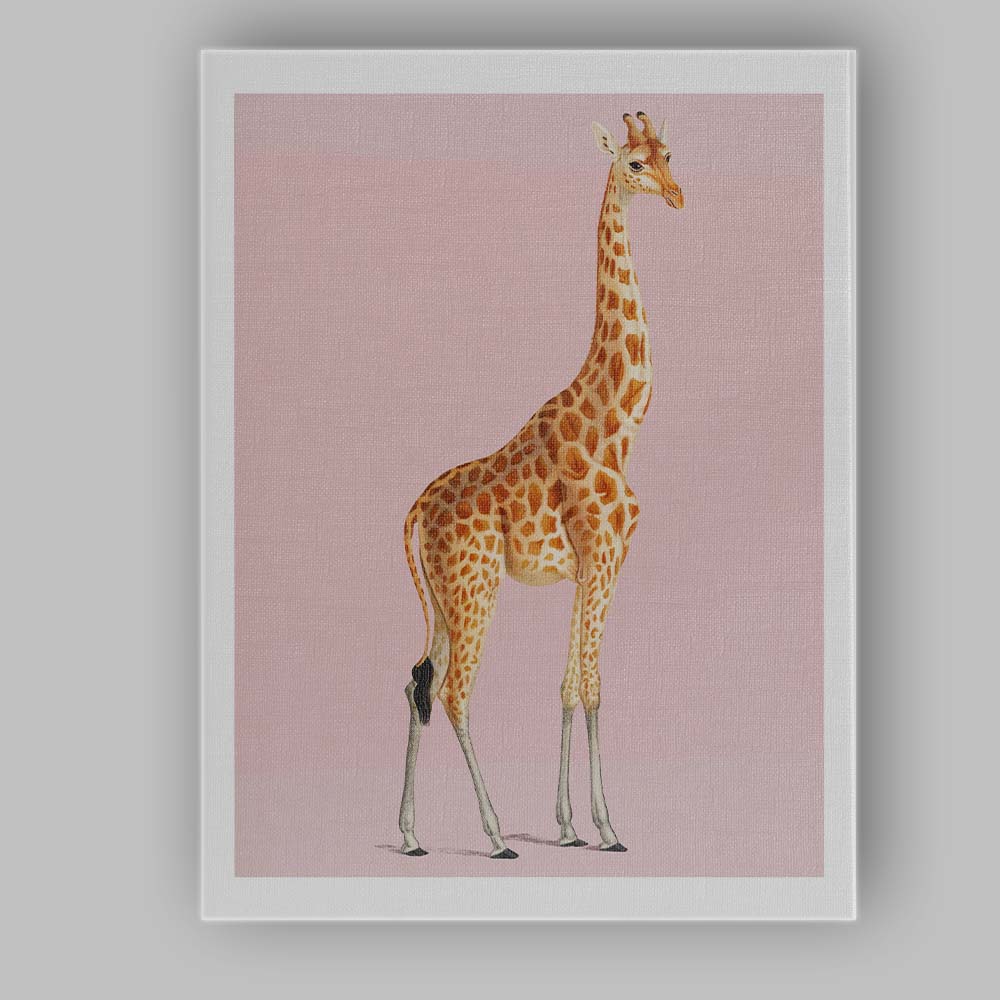 Elegant Giraffe Wildlife Portrait On Soft Blush Pink Background Canvas Wall Art Print Decor Picture Ready to Hang