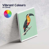 Tropical Toucan Bird Illustration On Soft Sage Green Background Canvas Wall Art Print Decor Picture Ready to Hang