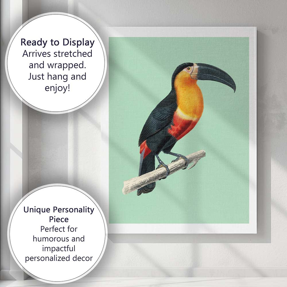 Tropical Toucan Bird Illustration On Soft Sage Green Background Canvas Wall Art Print Decor Picture Ready to Hang