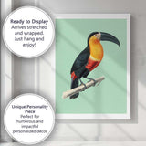Tropical Toucan Bird Illustration On Soft Sage Green Background Canvas Wall Art Print Decor Picture Ready to Hang