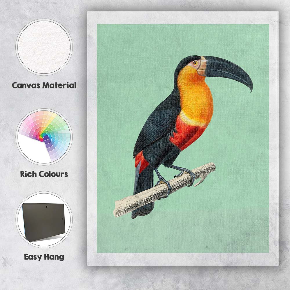 Tropical Toucan Bird Illustration On Soft Sage Green Background Canvas Wall Art Print Decor Picture Ready to Hang