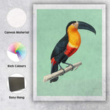 Tropical Toucan Bird Illustration On Soft Sage Green Background Canvas Wall Art Print Decor Picture Ready to Hang