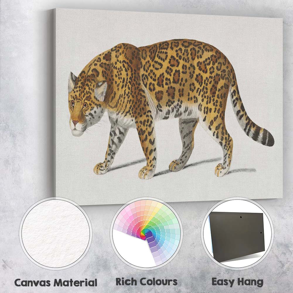 Detailed Jaguar Big Cat Wildlife Portrait Illustration Canvas Wall Art Print Decor Picture Ready to Hang