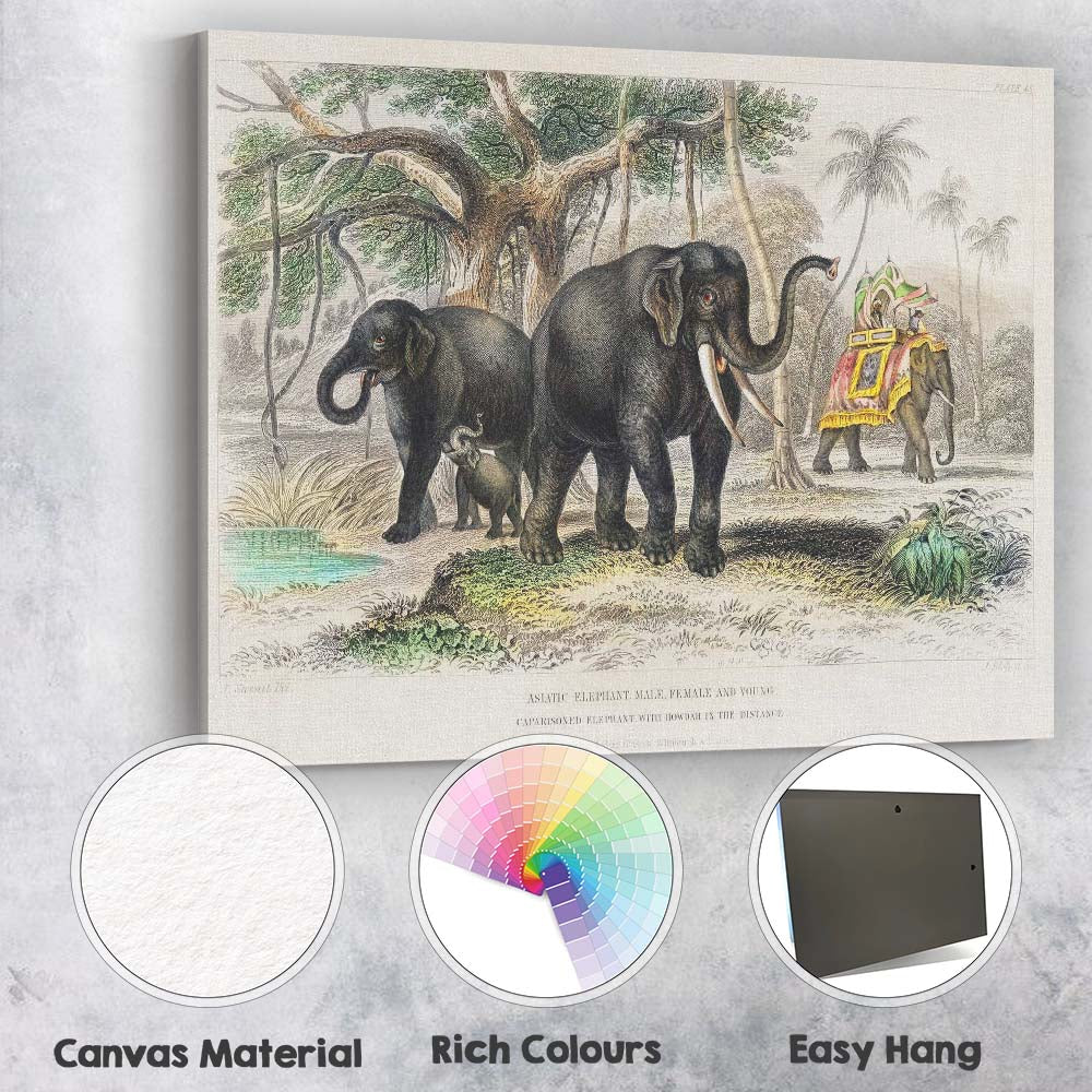 Antique Asiatic Elephant Family Tropical Landscape Natural History Illustration Canvas Wall Art Print Decor Picture Ready to Hang