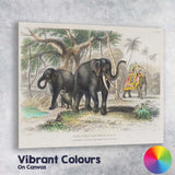 Antique Asiatic Elephant Family Tropical Landscape Natural History Illustration Canvas Wall Art Print Decor Picture Ready to Hang