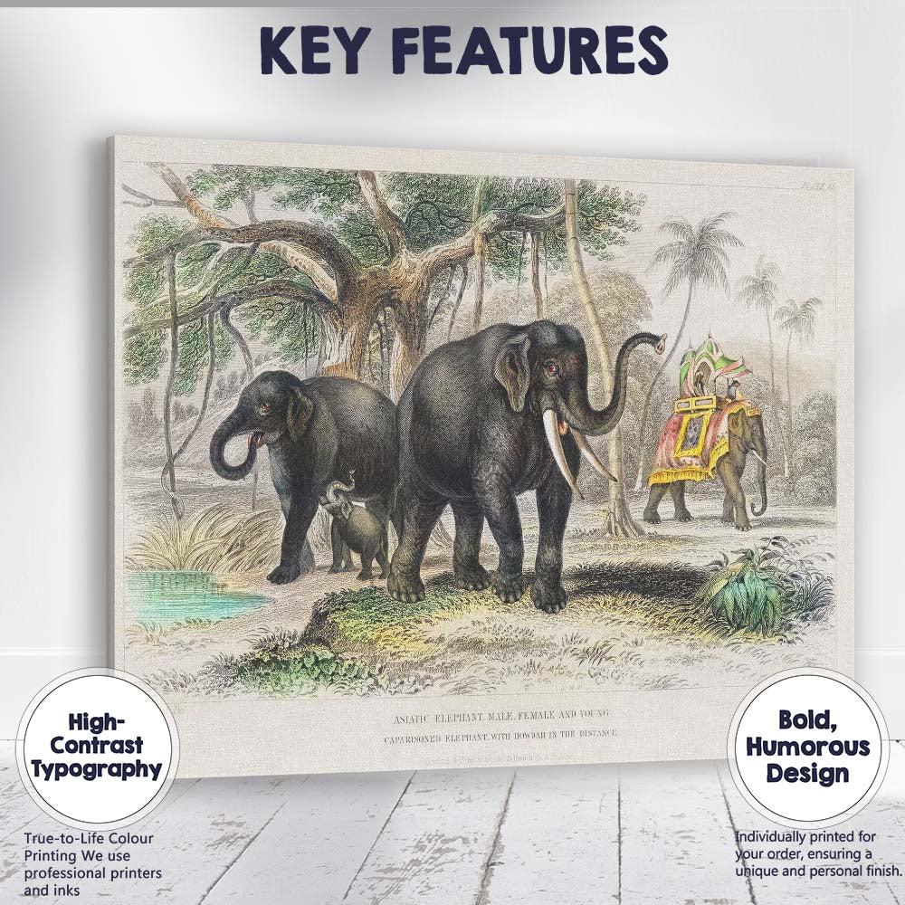 Antique Asiatic Elephant Family Tropical Landscape Natural History Illustration Canvas Wall Art Print Decor Picture Ready to Hang