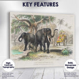 Antique Asiatic Elephant Family Tropical Landscape Natural History Illustration Canvas Wall Art Print Decor Picture Ready to Hang