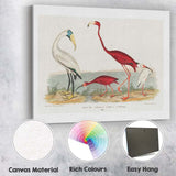 Elegant Flamingo And Ibis Water Bird Natural History Illustration Canvas Wall Art Print Decor Picture Ready to Hang