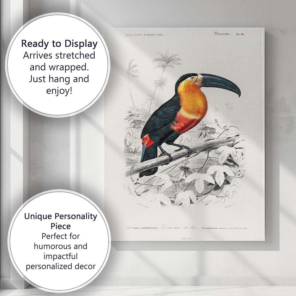 Colourful Tropical Toucan Bird Botanical Illustration Canvas Wall Art Print Decor Picture Ready to Hang