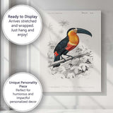 Colourful Tropical Toucan Bird Botanical Illustration Canvas Wall Art Print Decor Picture Ready to Hang