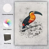 Colourful Tropical Toucan Bird Botanical Illustration Canvas Wall Art Print Decor Picture Ready to Hang
