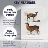 Antique Alpaca And Spotted Antelope Natural History Illustration Canvas Wall Art Print Decor Picture Ready to Hang