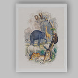 Exotic Wildlife Animal Kingdom Collage Illustration Canvas Wall Art Print Decor Picture Ready to Hang