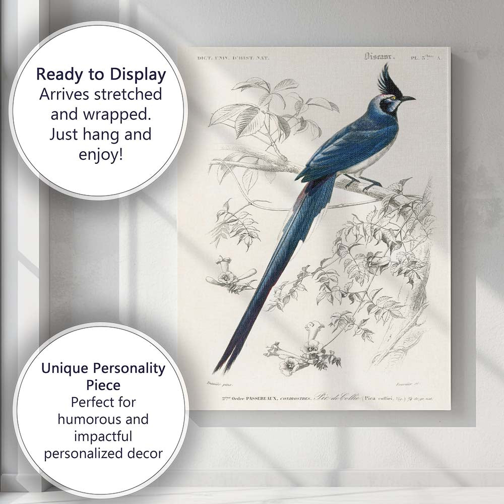 Elegant Blue Crested Tropical Bird Botanical Illustration Canvas Wall Art Print Decor Picture Ready to Hang