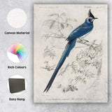 Elegant Blue Crested Tropical Bird Botanical Illustration Canvas Wall Art Print Decor Picture Ready to Hang