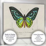 Vibrant Green And Blue Tropical Butterfly Entomology Illustration Canvas Wall Art Print Decor Picture Ready to Hang