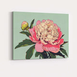 Soft Pink Peony Bloom Botanical Illustration Floral Artwork Canvas Wall Art Print Decor Picture Ready to Hang