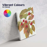 Autumn Red Berries Green Foliage Botanical Watercolour Canvas Wall Art Print Decor Picture Ready to Hang