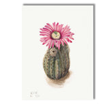 Pink Cactus Bloom Desert Botanical Watercolour Illustration Canvas Wall Art Print Decor Picture Ready to Hang