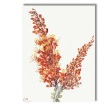 Orange Flowering Shrub Botanical Watercolour Garden Study Canvas Wall Art Print Decor Picture Ready to Hang