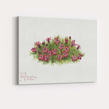 Wildflower Camp Pink Moss Phlox Botanical Watercolour Canvas Wall Art Print Decor Picture Ready to Hang