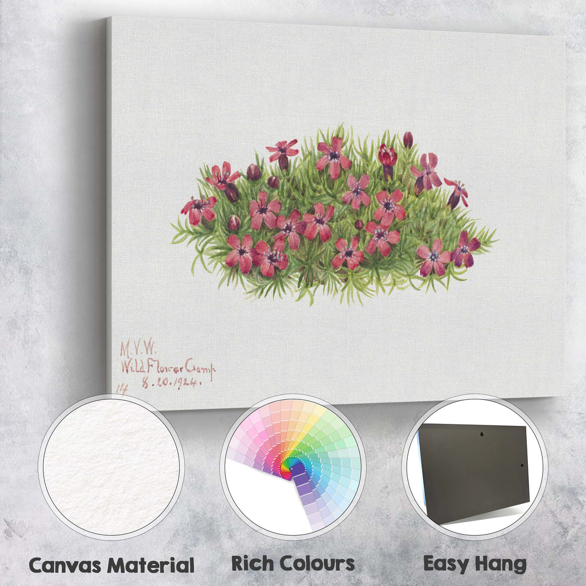 Wildflower Camp Pink Moss Phlox Botanical Watercolour Canvas Wall Art Print Decor Picture Ready to Hang