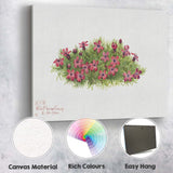 Wildflower Camp Pink Moss Phlox Botanical Watercolour Canvas Wall Art Print Decor Picture Ready to Hang