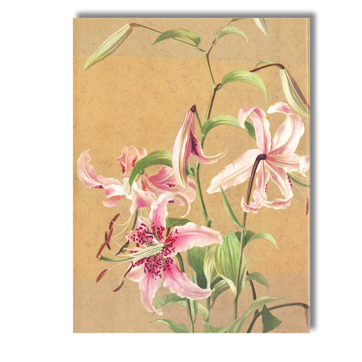 Elegant Pink Stargazer Lily Botanical Floral Painting Canvas Wall Art Print Decor Picture Ready to Hang
