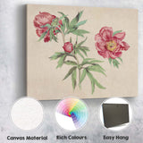Antique Coral Peony Botanical Flower Illustration Canvas Wall Art Print Decor Picture Ready to Hang