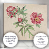 Antique Coral Peony Botanical Flower Illustration Canvas Wall Art Print Decor Picture Ready to Hang