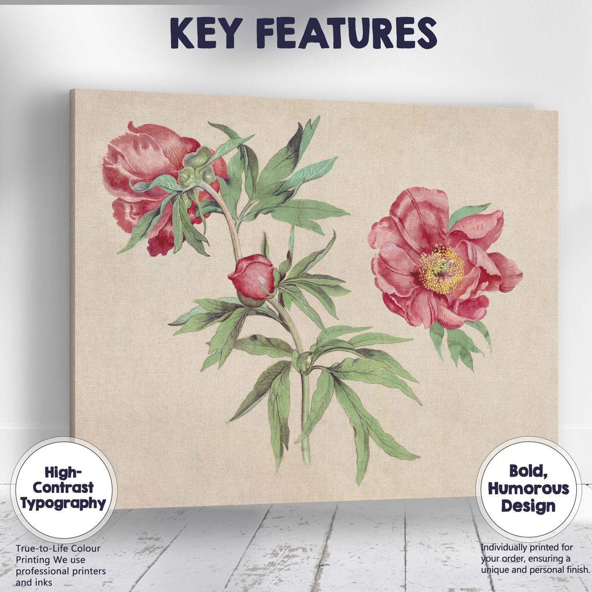 Antique Coral Peony Botanical Flower Illustration Canvas Wall Art Print Decor Picture Ready to Hang