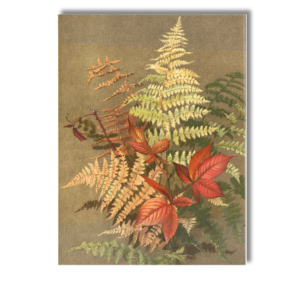 Autumn Fern Fronds And Red Woodland Leaves Botanical Study Canvas Wall Art Print Decor Picture Ready to Hang