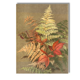 Autumn Fern Fronds And Red Woodland Leaves Botanical Study Canvas Wall Art Print Decor Picture Ready to Hang