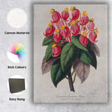 Antique Pink Impatiens Exotic Flower Botanical Illustration Canvas Wall Art Print Decor Picture Ready to Hang