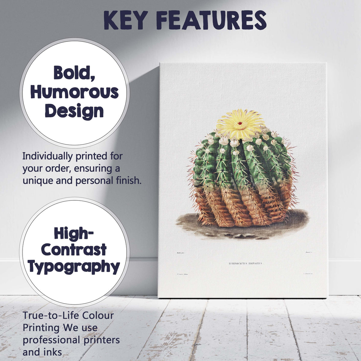 Antique Flowering Cactus Botanical Illustration Yellow Bloom Canvas Wall Art Print Decor Picture Ready to Hang