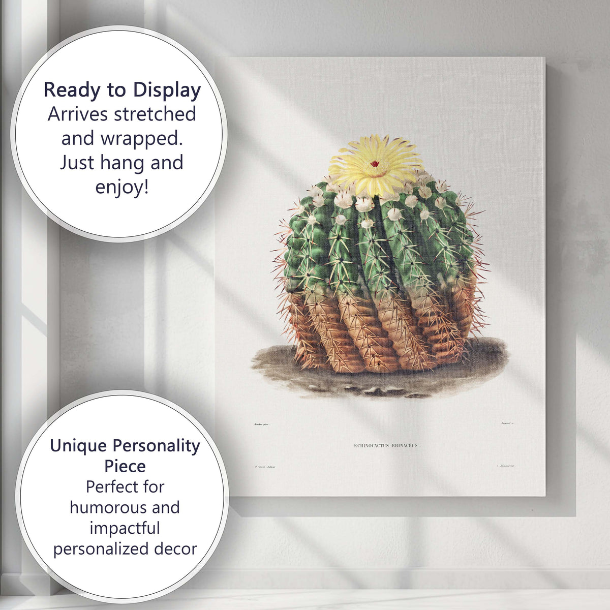 Antique Flowering Cactus Botanical Illustration Yellow Bloom Canvas Wall Art Print Decor Picture Ready to Hang