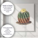 Antique Flowering Cactus Botanical Illustration Yellow Bloom Canvas Wall Art Print Decor Picture Ready to Hang